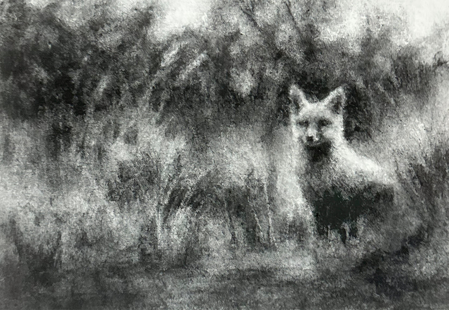 Catch Up: November 2025