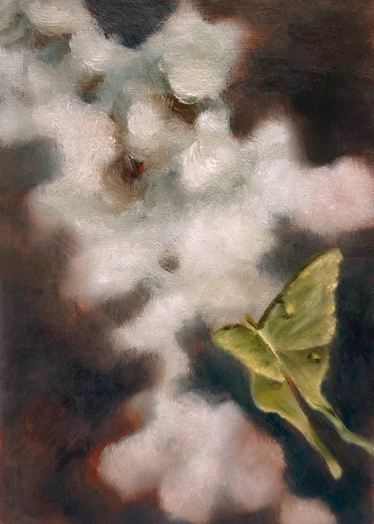 Catch Up: January 2026