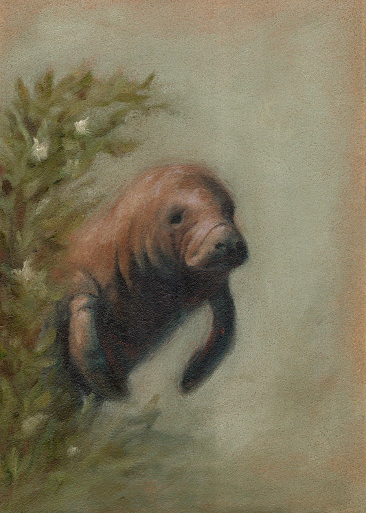 Catch Up: March 2026