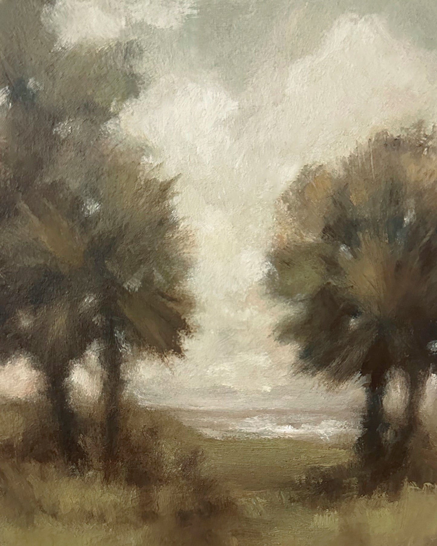 The Palms