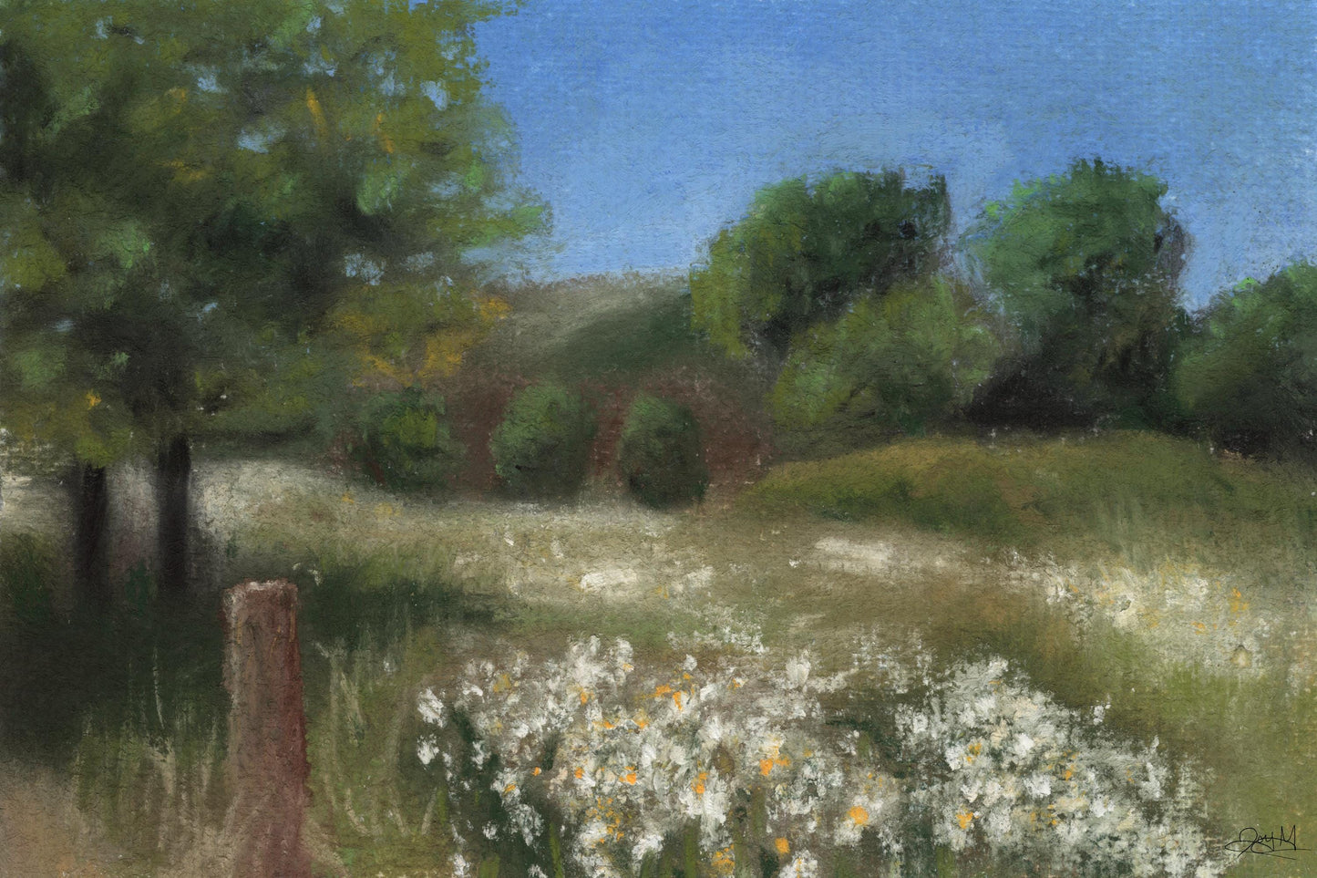 Where The Butterflies Roam