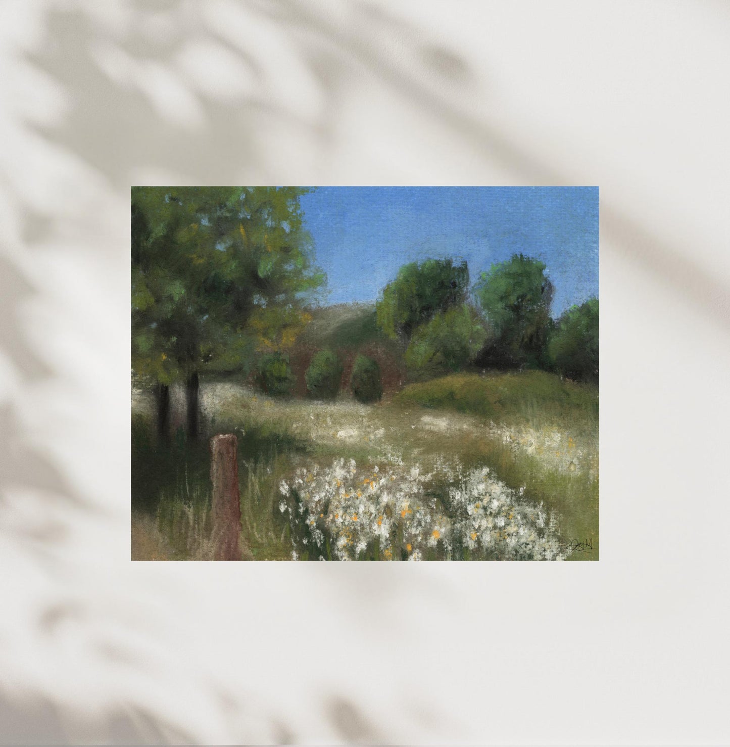 Where The Butterflies Roam