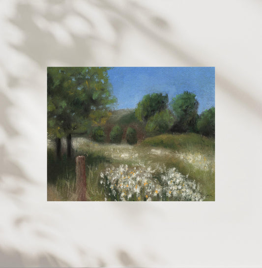 Where The Butterflies Roam