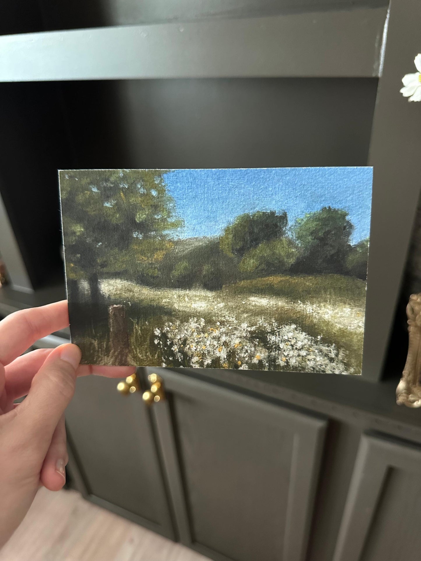 Where The Butterflies Roam