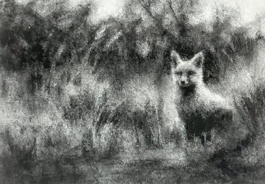 Catch Up: November 2025